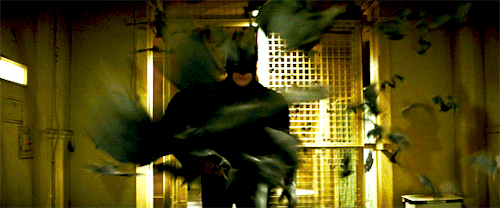 166685.gif