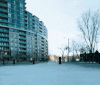 Shazam-avvy-02.gif