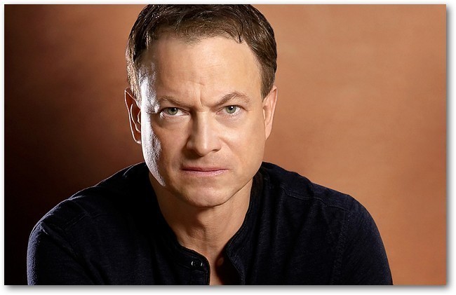 gary-sinise-gary-sinise-6528400-650-421.jpg