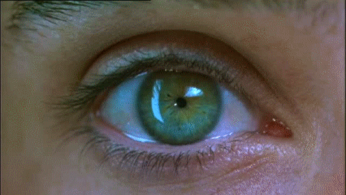 tumblr_n3j2g3CZq51rwwmgao1_500.gif