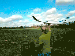 never-had-a-chance-gifs-plane.gif