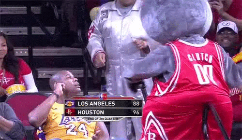 848.gif