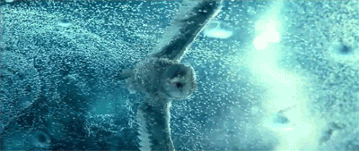 tumblr_m5kwziVzjV1r4noq0o7_400.gif