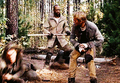 tumblr_nm1n9gfmgO1ru34cuo4_250.gif