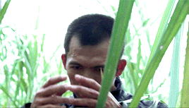 tumblr_ormkmtuCrQ1rrkahjo4_400.gif