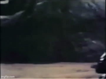 9pczpp.gif