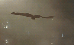 tumblr_mpqmzd0qAI1rrkahjo10_250.gif