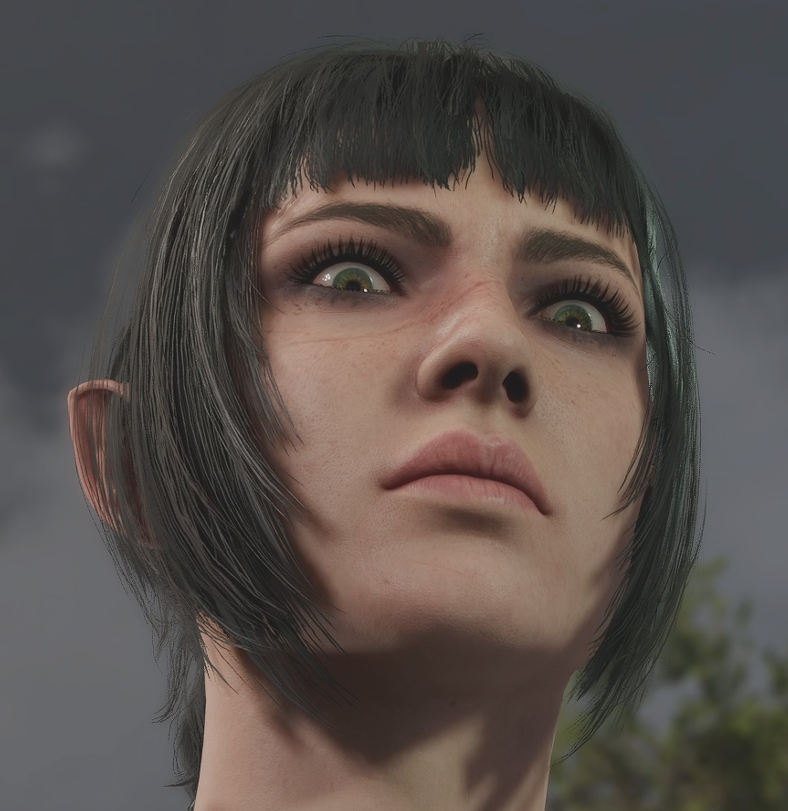 z4xuwlg3r7l61.png