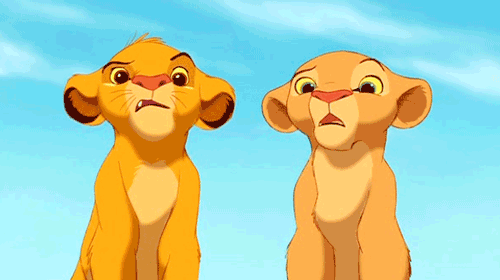 tumblr_n3b52dTioZ1tw1vhco1_500.gif