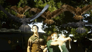 tumblr_mfm7hxtMVj1qzc8l4o1_400.gif