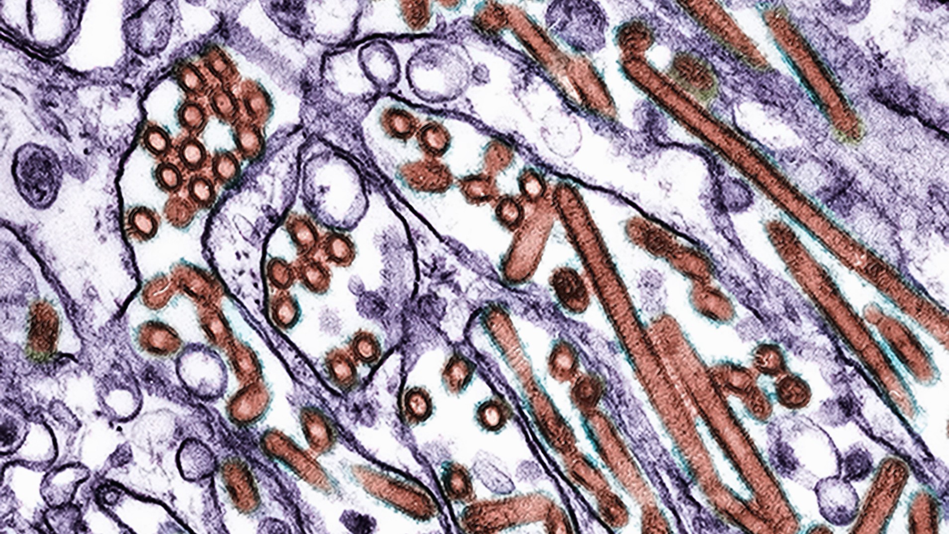 www.livescience.com