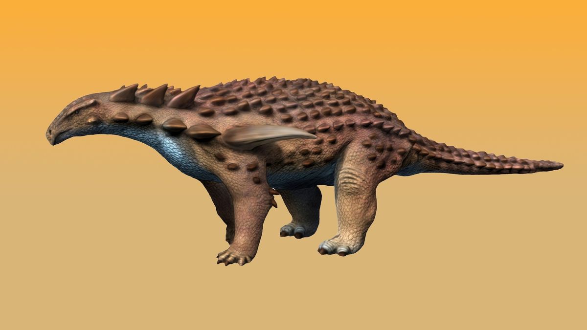 www.livescience.com