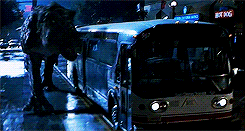 tumblr_mrtwz0LRcu1rob81ao9_r1_250.gif