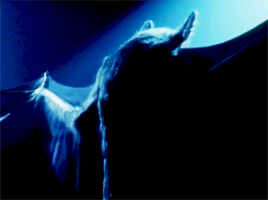 tumblr_o6j9fhL7t41rrkahjo9_400.gif