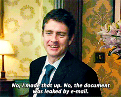 tumblr_n13k142jBT1s89mq8o1_r1_250.gif