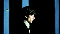 tumblr_n6onaxPTs01qa4velo7_r1_250.gif