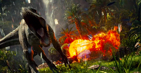 tumblr_nn4uzlDJuG1rdqbfro5_500.gif