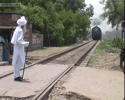 1387404342_yogi_aint_afraid_of_no_train.gif