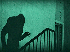 tumblr_oyaxrzI4ei1s3h6j4o8_400.gif