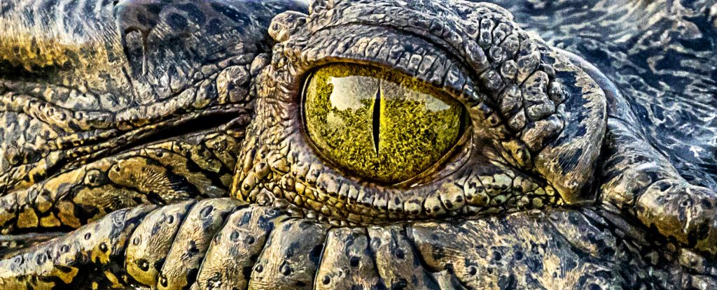 www.sciencealert.com