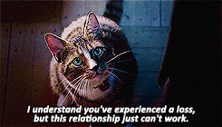 tumblr_mf461aNxkO1qeogr5o1_250.gif