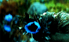tumblr_oirzcfRwB01rrkahjo1_400.gif