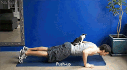 tumblr_mlpanzTc211ql2603o2_250.gif