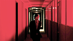 tumblr_n6onaxPTs01qa4velo2_250.gif