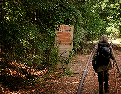 tumblr_ndd6ycjxOq1r7wse8o1_250.gif