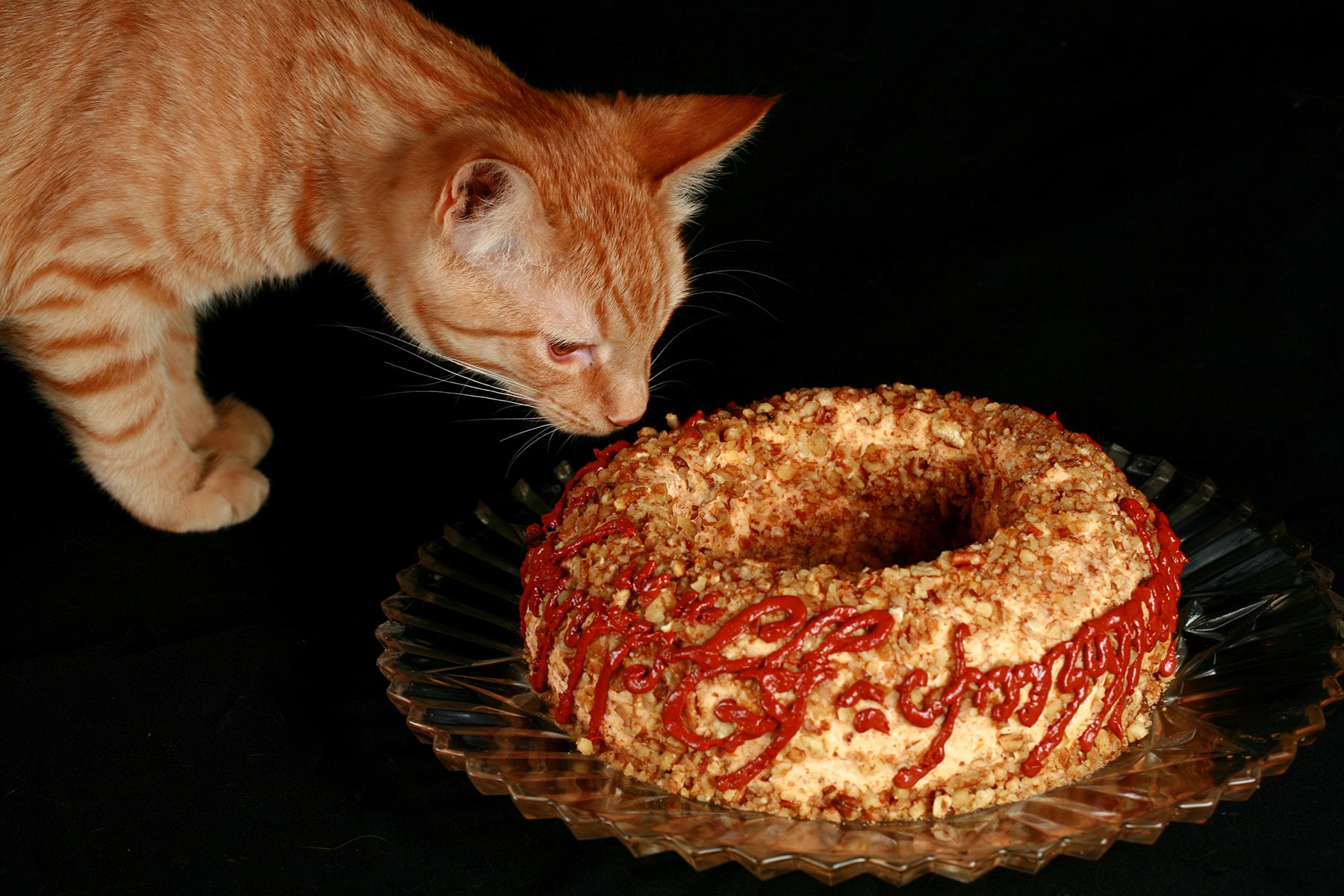 The-One-Cheese-Ring-3.jpg