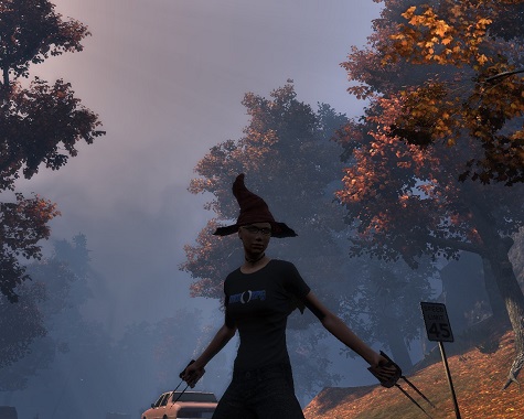 TSW-Nov4-3_t.jpg