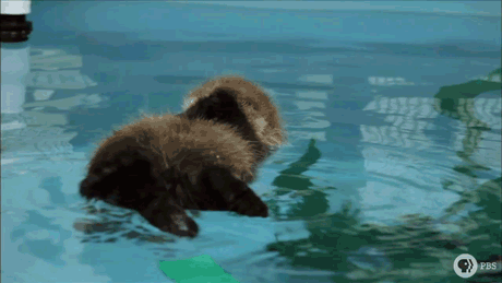 tumblr_mul2km3m9j1s3abbdo2_500.gif