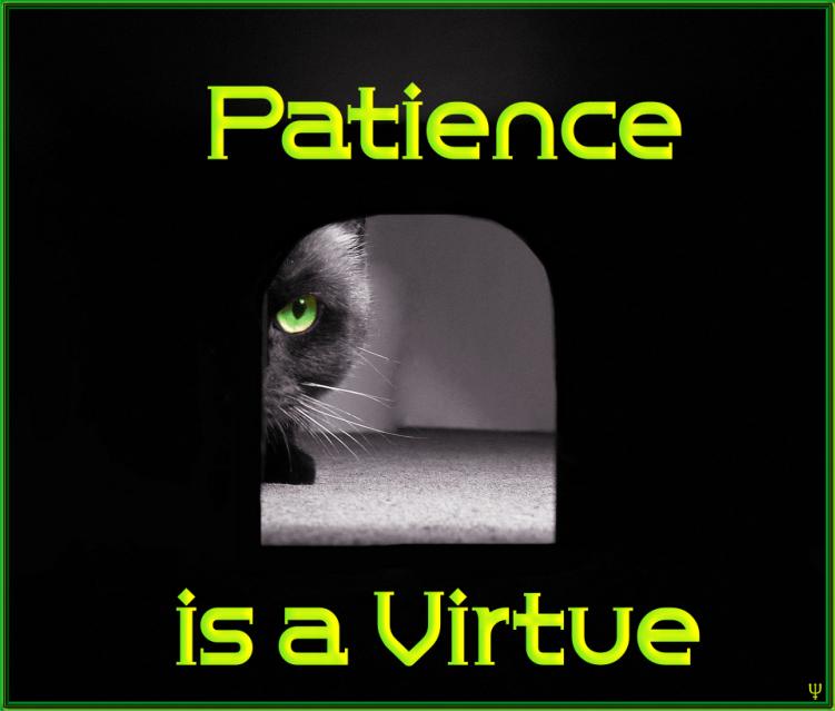 Patience+is+a+Virtue.jpg