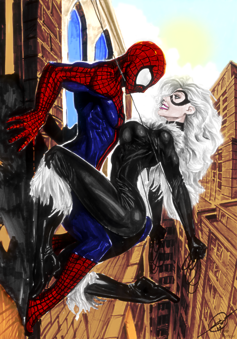 Spiderman_and_Black_Cat_by_DnD_21_Dream.png