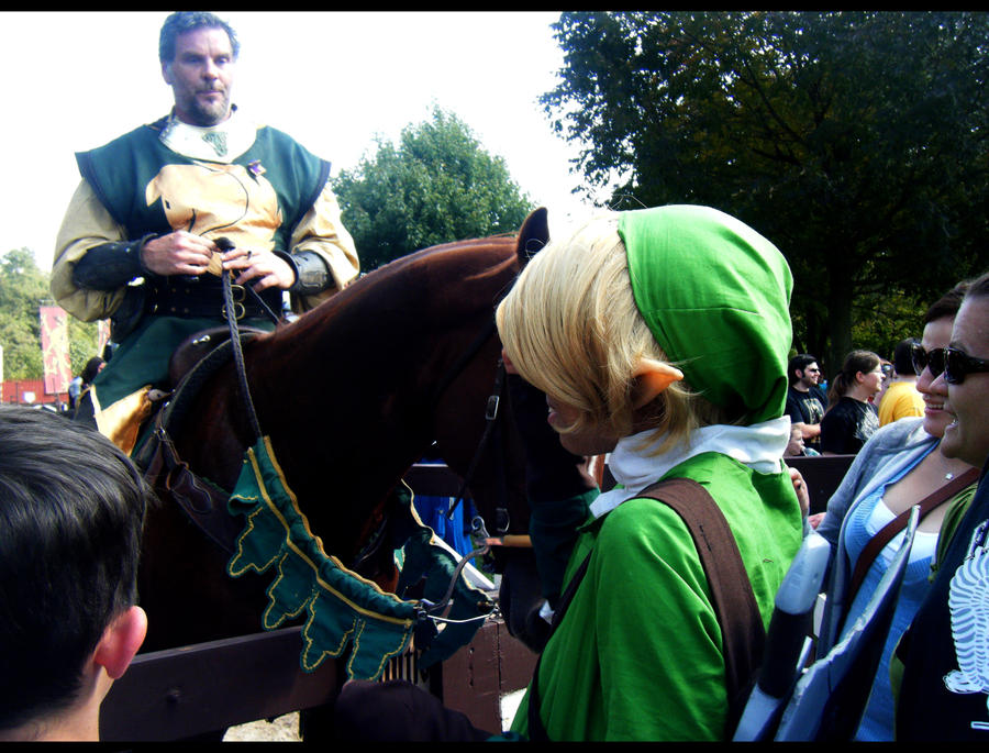 Link_meets_a_knight_by_Pandothiel_Elrond.jpg