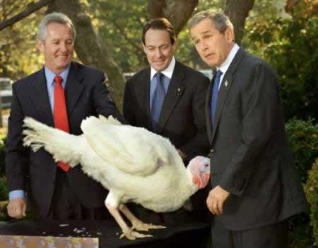 george-w-bush-pictures-turkey.jpg