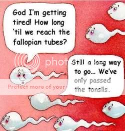 sperm.jpg