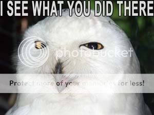 Owl_I_see_what_you_did.jpg