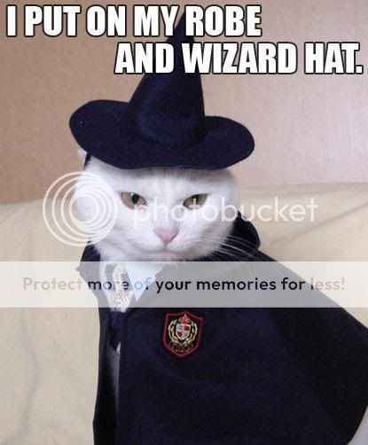 robe-wizardhatcat.jpg