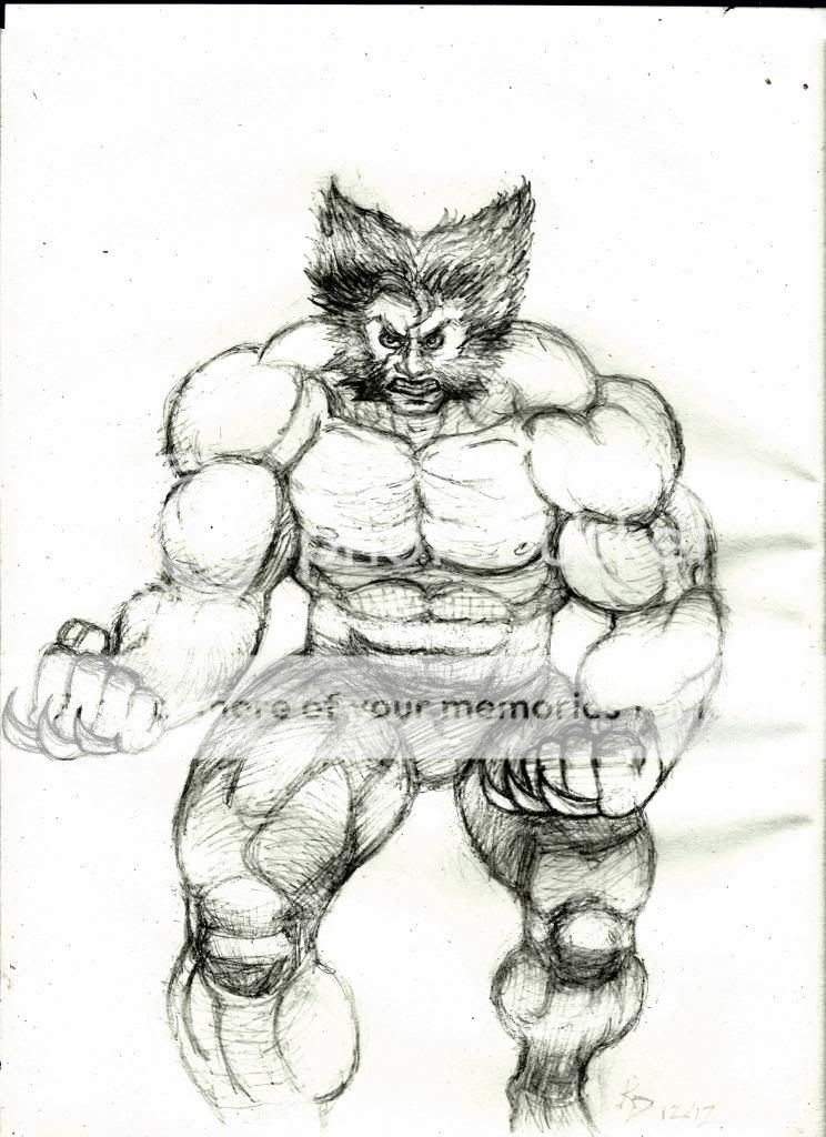 Wolverinepencils-1_zpscb93fe09.jpg