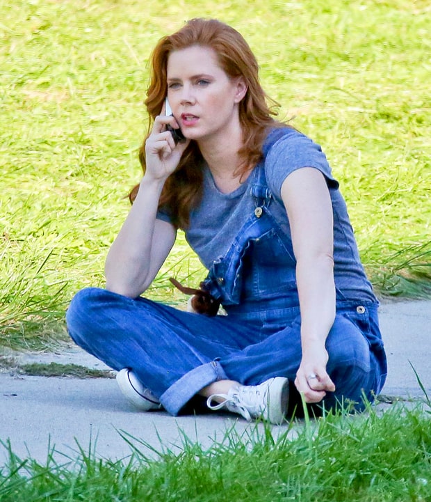 1412110988_ag046961_01_amy-adams-zoom.jpg