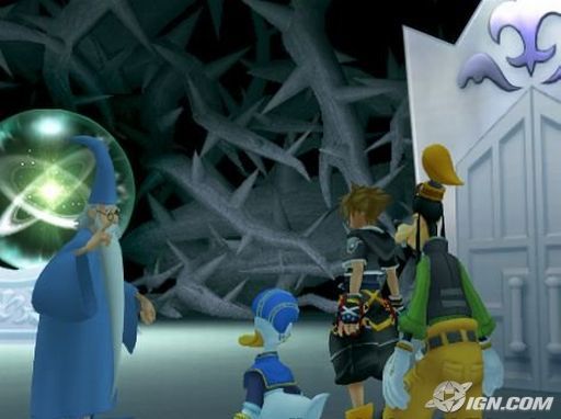 kingdom-hearts-ii-20050930100551963.jpg