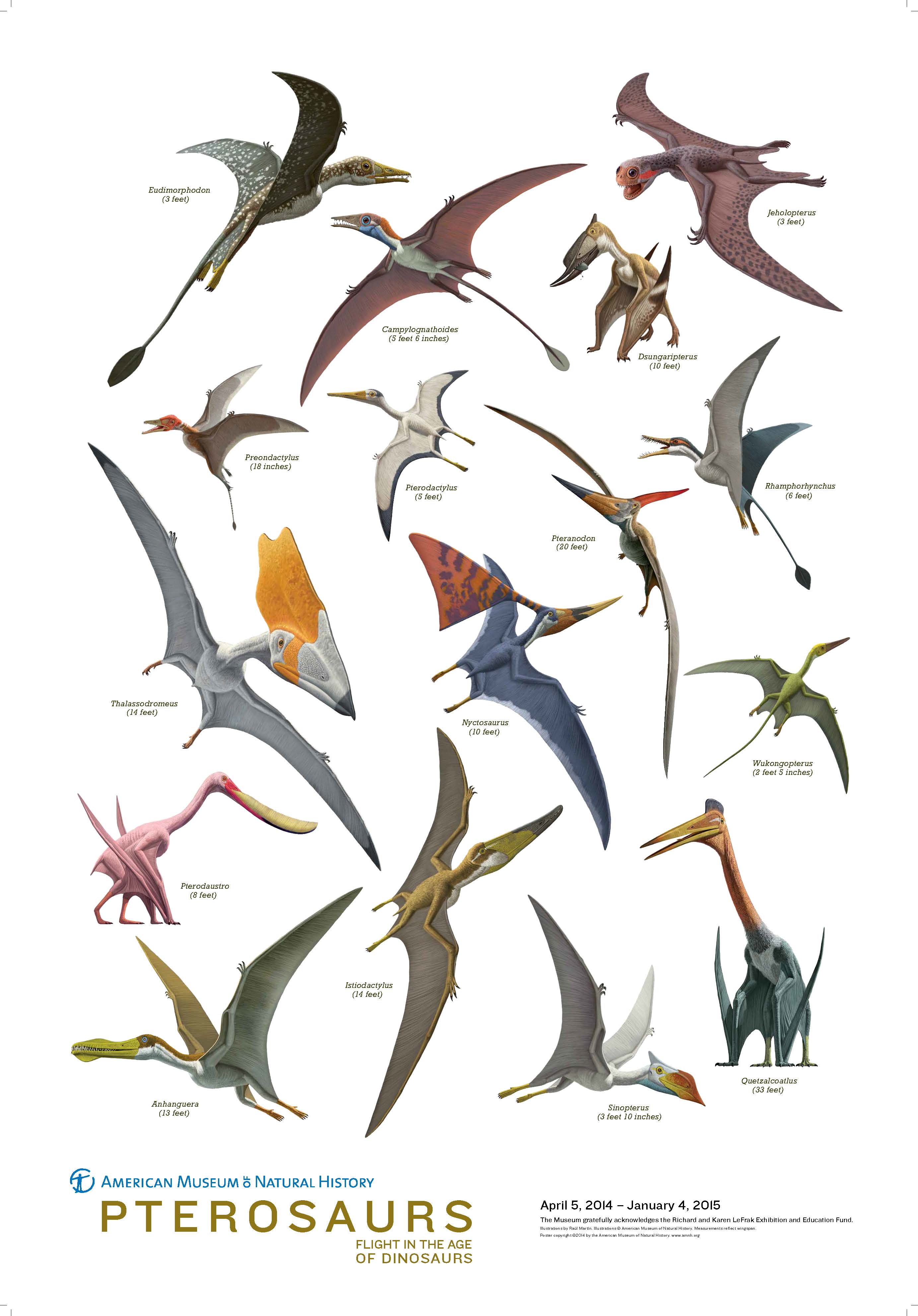 pterosaur_poster.jpg