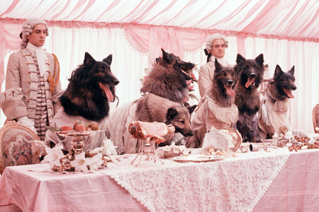 companyofwolves3.jpg