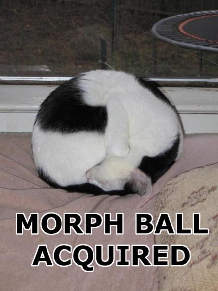 morph-ball-acquired1.thumbnail.jpg