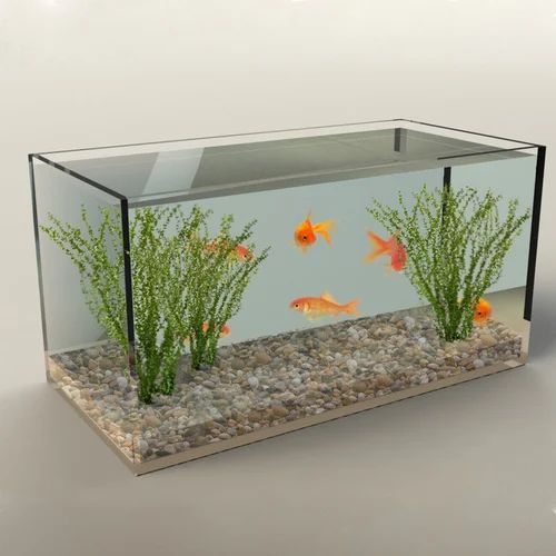 fish-tank-1-500x500.jpg