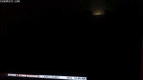 CgL8CS4fDEOGtjLs0CermA2.gif