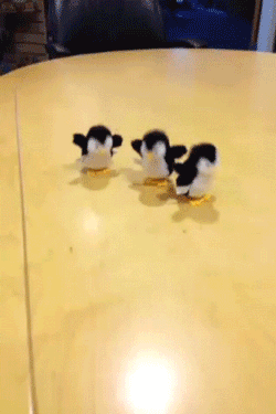 penguins-swept.gif