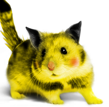 pikachu_by_anansi245.jpg