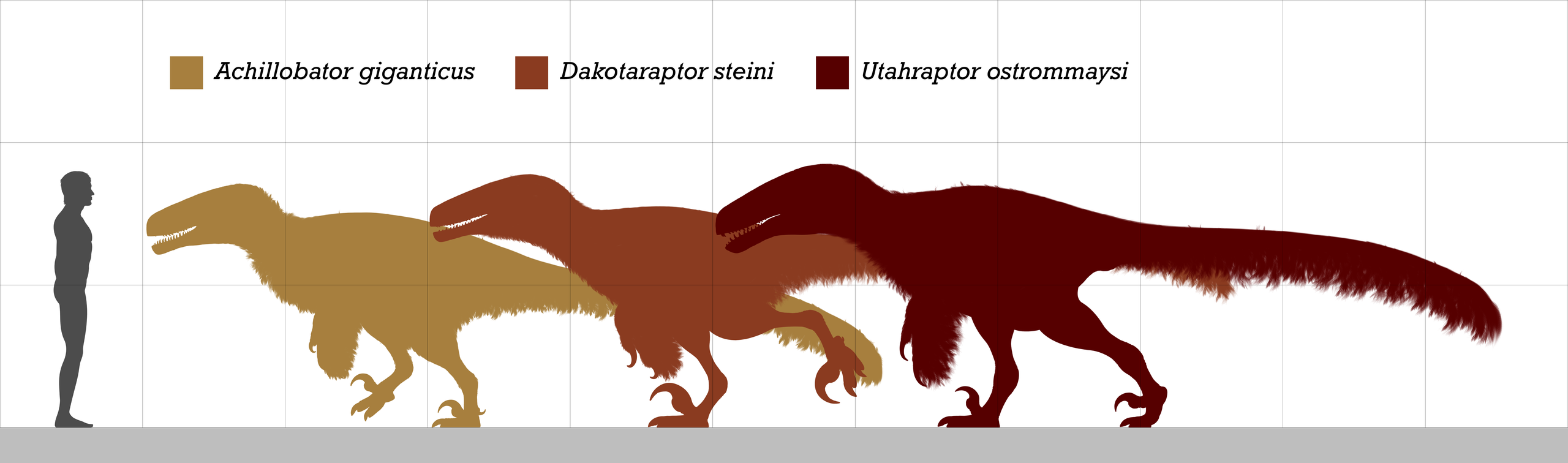 2560px-Biggest_Raptors.png